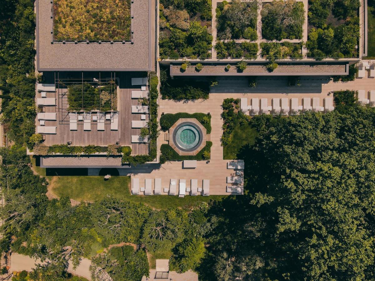 Domaine Du Mas De Pierre
